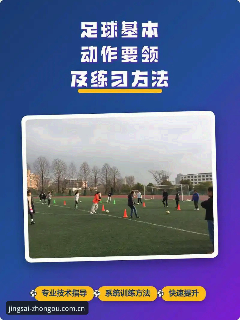 中欧体育使用教程使用技巧 中欧体育使用教程使用技巧:5个提升竞技分析效率的核心方法